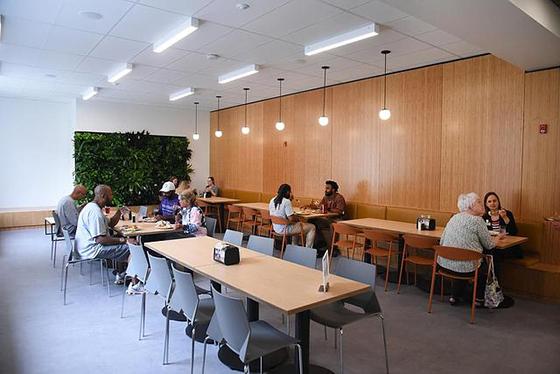 Photo of people eating in the newly renovated Anderson Dining Hall near a plant wall